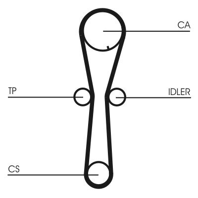 Kit cinghie dentate CONTINENTAL CTAM CT954K1