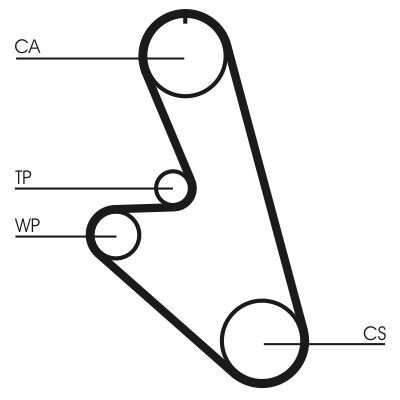 Cinghia dentata CONTINENTAL CTAM CT959