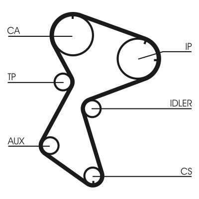 Cinghia dentata CONTINENTAL CTAM CT966