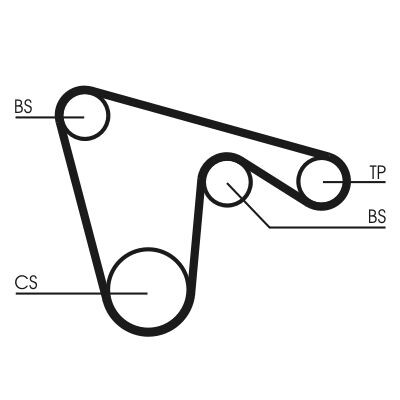 Cinghia dentata CONTINENTAL CTAM CT970