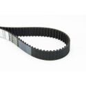 Cinghia dentata CONTINENTAL CTAM CT974