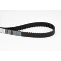 Cinghia dentata CONTINENTAL CTAM CT978