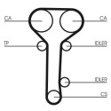 Kit cinghie dentate CONTINENTAL CTAM CT978K2