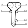 Kit cinghie dentate CONTINENTAL CTAM CT978K2