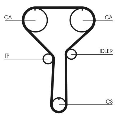 Cinghia dentata CONTINENTAL CTAM CT992