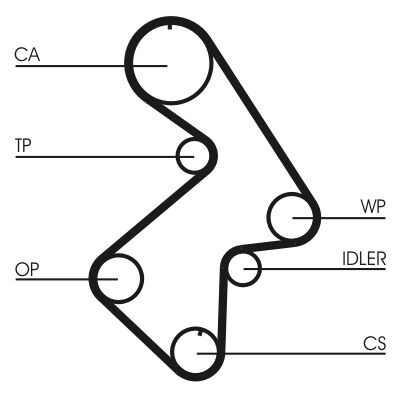 Cinghia dentata CONTINENTAL CTAM CT998