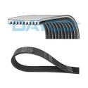 Cinghia trapezoidale scanalata DAYCO 10PK1448HD
