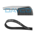 Cinghia trapezoidale scanalata DAYCO 12PK1814HD