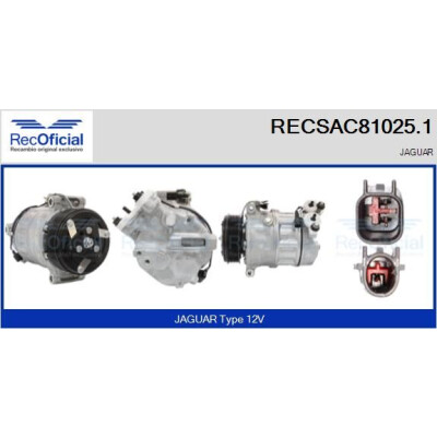 Compressore, aria condizionata RECOFICIAL RECSAC81025.1