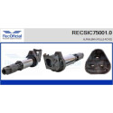 Bobina di accensione RECOFICIAL RECSIC75001.0