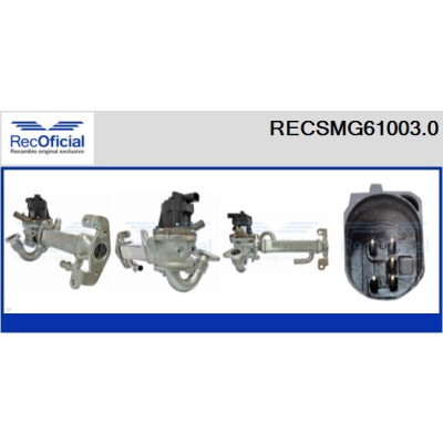 Modulo EGR RECSMG61003.0