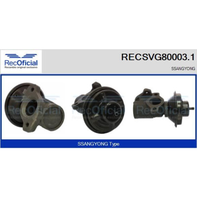 Valvola EGR RECSVG80003.1
