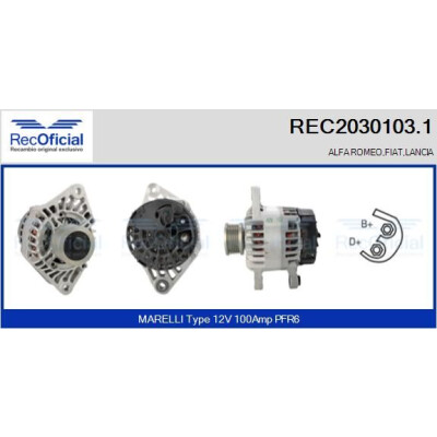 Alternatore RECOFICIAL REC2030103.1