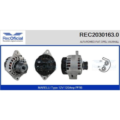 Alternatore RECOFICIAL REC2030163.0