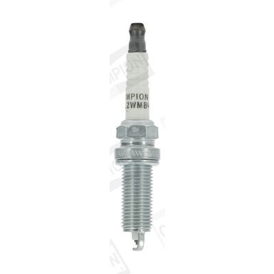Candela CHAMPION OE240