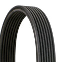 Cinghia trapezoidale in poliestere CONTINENTAL CTAM 7DPK2950