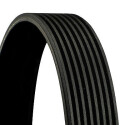 Cinghia Poly-V CONTINENTAL CTAM 8PK1625