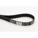 Cinghia dentata CONTINENTAL CTAM CT1005