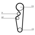 Cinghia dentata CONTINENTAL CTAM CT729