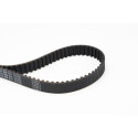 Cinghia dentata CONTINENTAL CTAM CT979