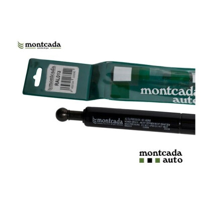 Ammortizatore pneumatico, Cofano bagagli /vano carico
