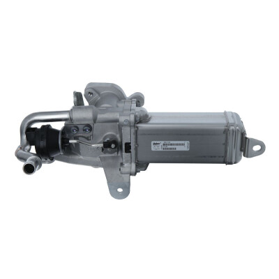 Modulo EGR