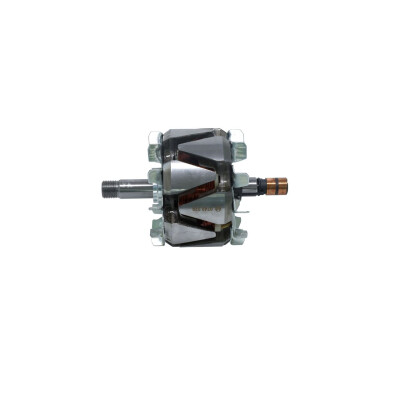 Rotore, Alternatore