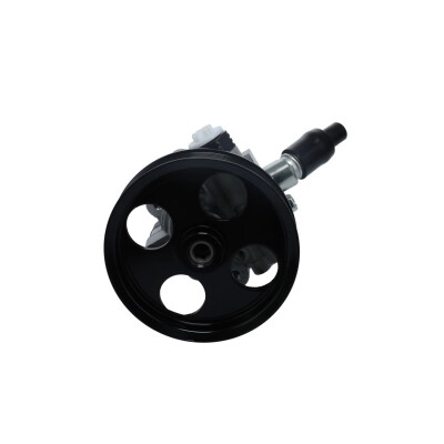 Pompa idraulica, Sterzo
