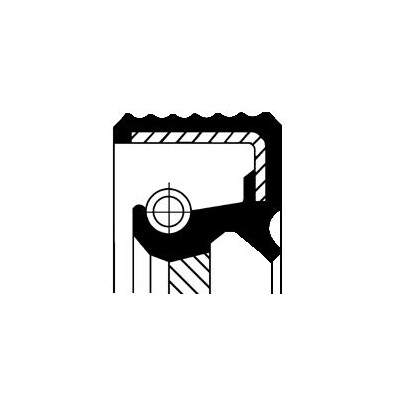 Anello tenuta, Differenziale