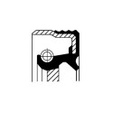 Paraolio, Cambio manuale