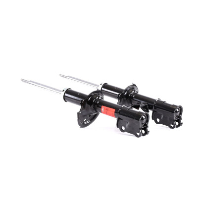 Set di (2) ammortizzatori TRW JGM1175T