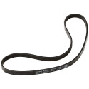 Cinghia trapezoidale scanalata DAYCO 4PK922EE