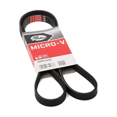 Cinghia Poly-V
