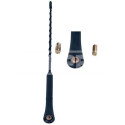 Testa antenna