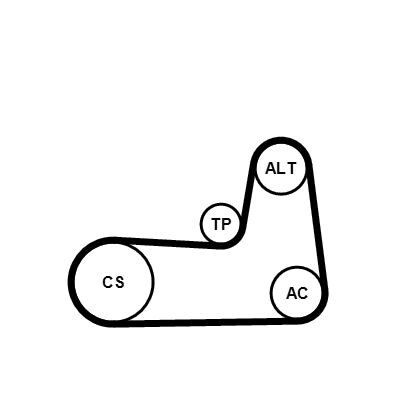 Kit Cinghie Poly-V