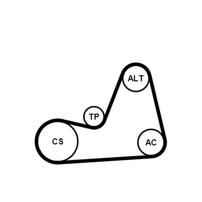 Kit Cinghie Poly-V