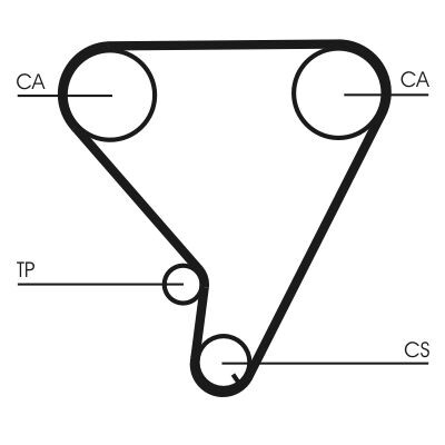 Cinghia dentata