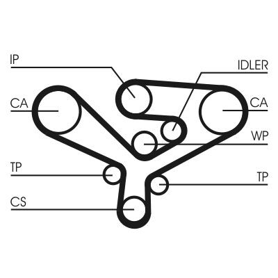 Cinghia dentata