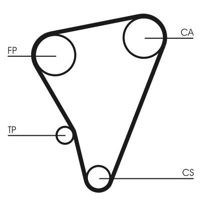 Cinghia dentata