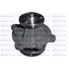 Pompa acqua, raffreddamento motore DOLZ D301