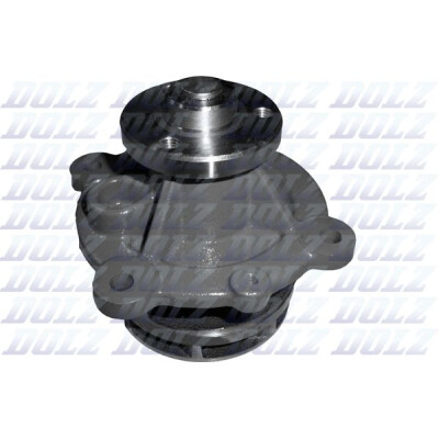 Pompa acqua, raffreddamento motore DOLZ D301