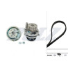 Kit pompa acqua + cinghia di distribuzione DOLZ KD050