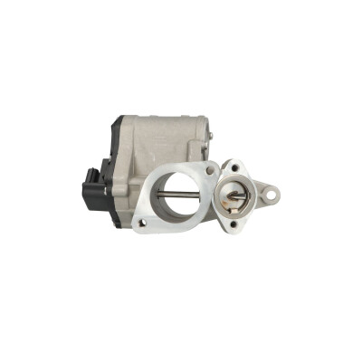 Valvola ricircolo gas scarico-EGR