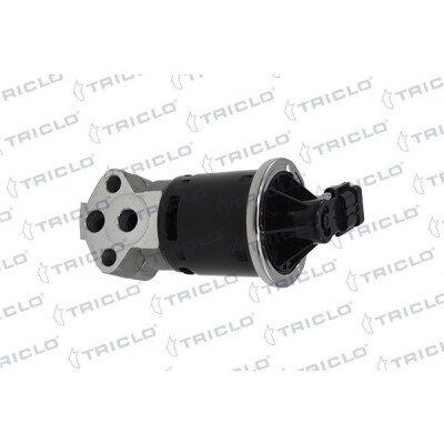 Valvola ricircolo gas scarico-EGR