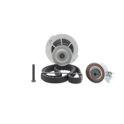 Kit pompa acqua + cinghia distribuzione DAYCO KTBWP2215