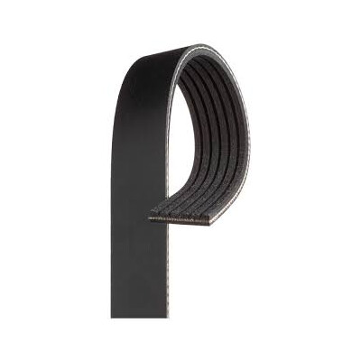 Cinghia Poly-V