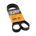 Cinghia trapezoidale trapezoidale ContiTech 6 PK 1210