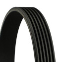 Cinghia trapezoidale trapezoidale ContiTech 7 PK 2035