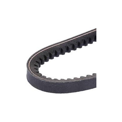 Cinghia trapezoidale DAYCO 13A1253C