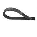 Cinghia trapezoidale scanalata DAYCO 4 PK 800